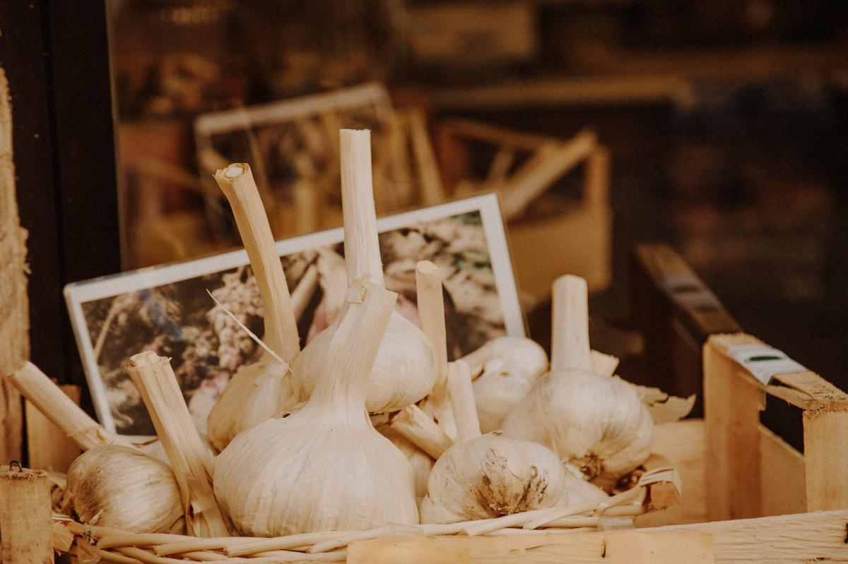 Celebrate All Things Garlic At The Minnesota Garlic Festival 2024