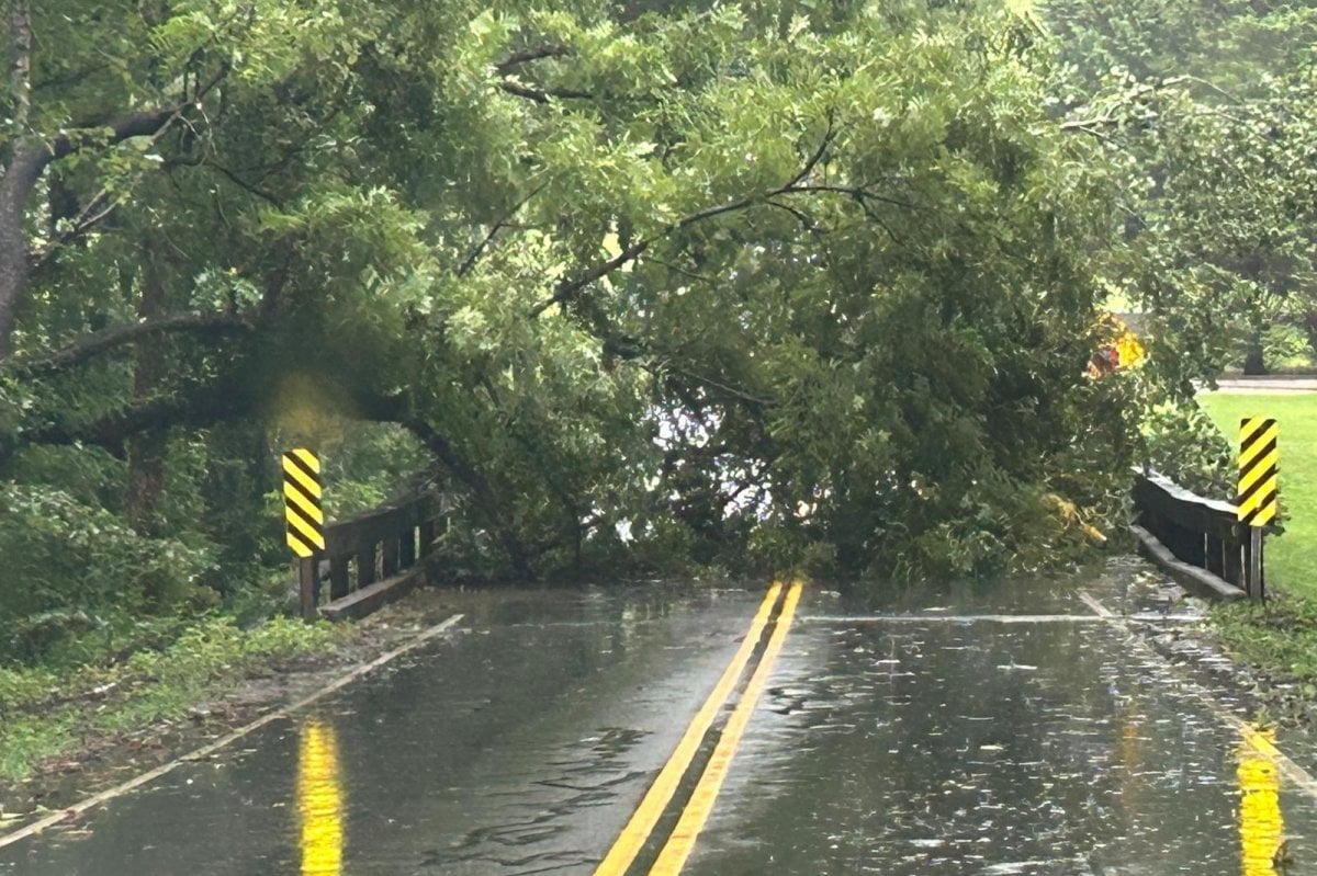 Debby knocks out power for more than 131,000 in N.C. amid widespread flooding