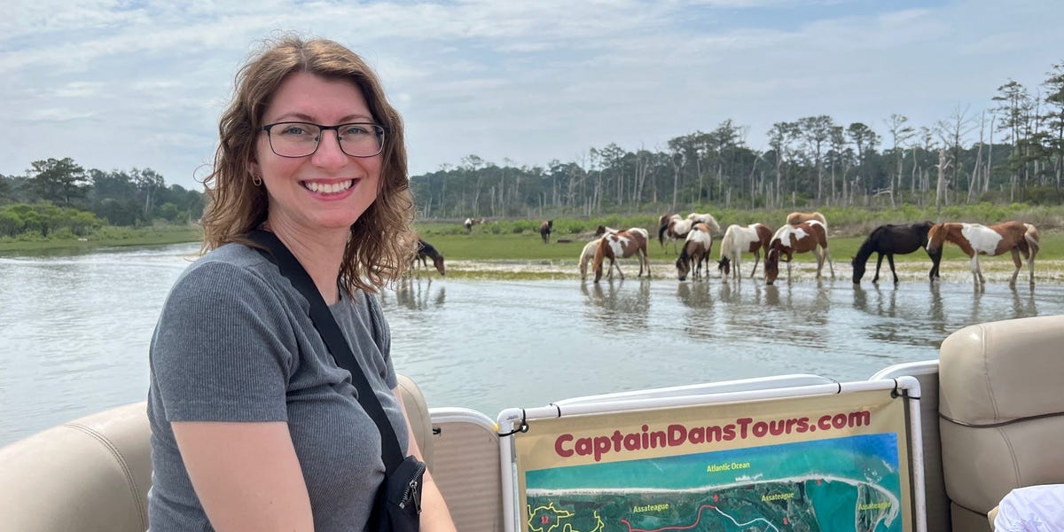 I paid $50 to take a boat tour around a beautiful island in Virginia filled with feral ponies. It should be on everyone's bucket list.