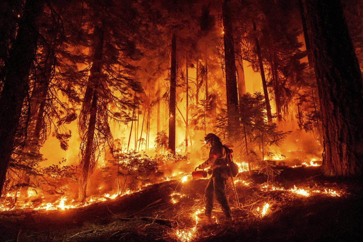 Huge California wildfire chews through timber in very hot and dry weather