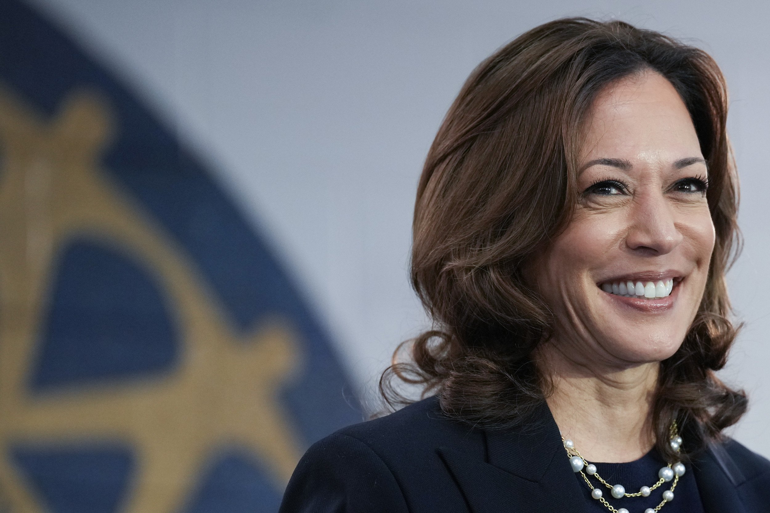 Kamala Harris Leading Donald Trump Across Seven Battleground States: Poll