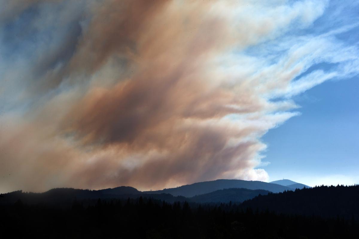 Level 3 'Go Now' evacuations issued for Lane 1 Fire southeast of Cottage Grove