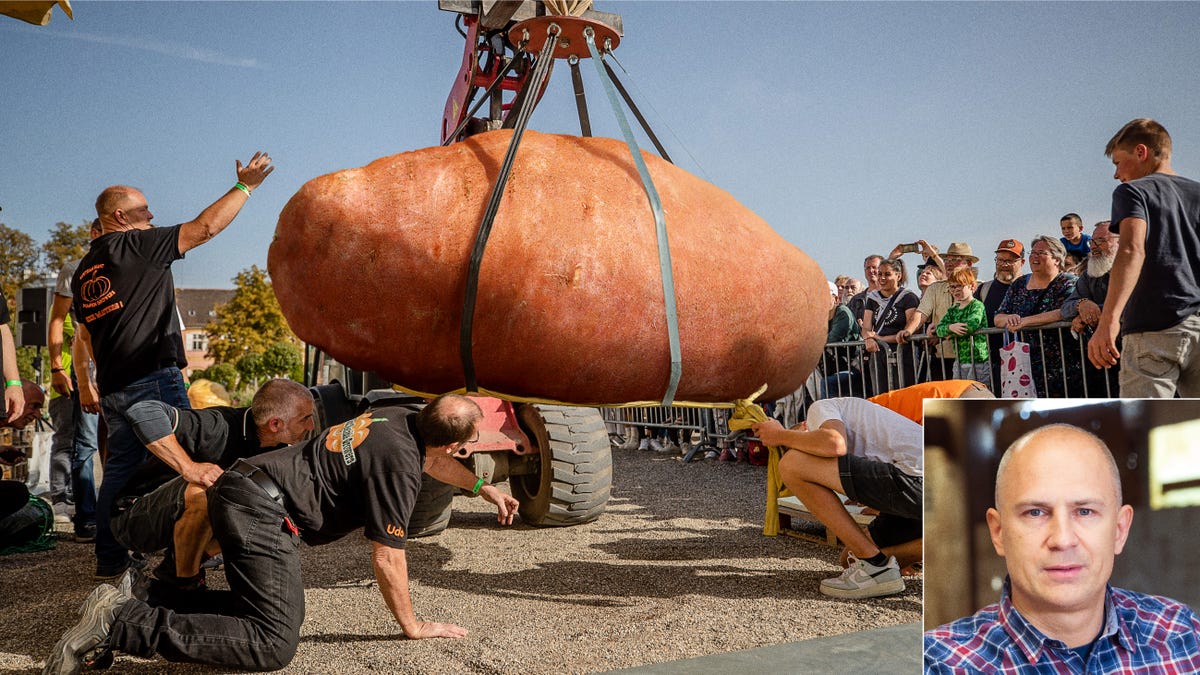 Iowa State Fair Visitor Gored By 500-Pound Yam