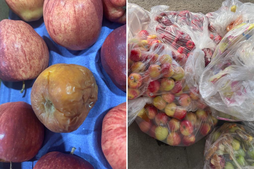 State, federal officials to inspect 'ridiculous' apple waste in NYC schools