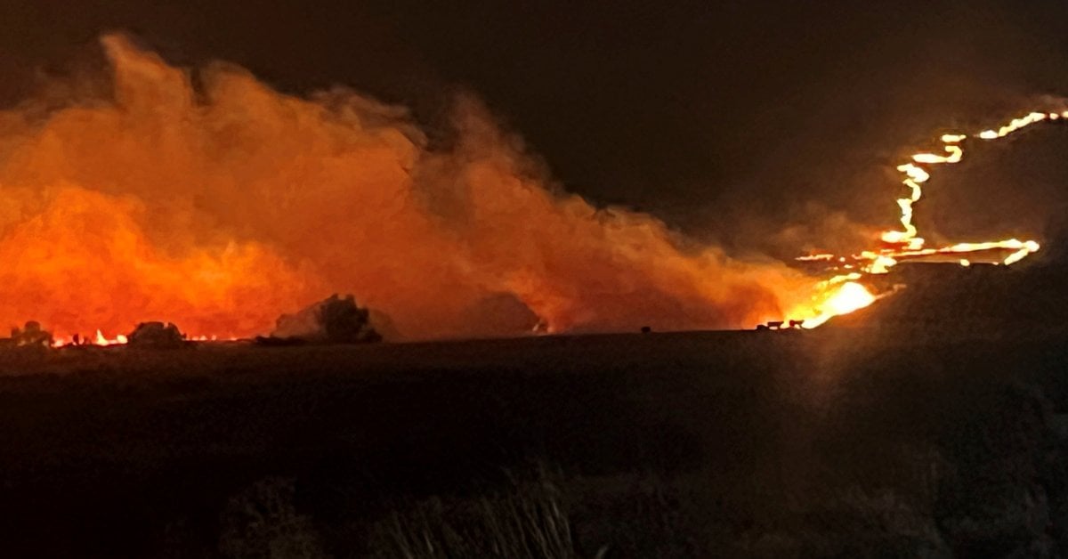 Record-Breaking Wildfires Scorch More Than 1.4 Million Acres in Oregon, Authorities Say