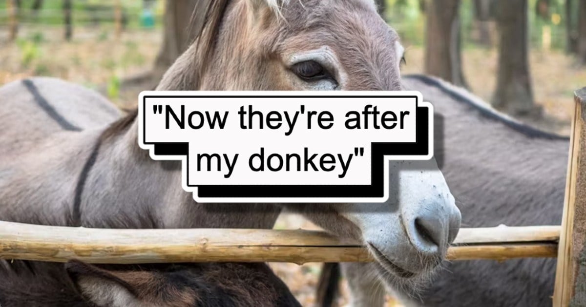 'HOA tries to get a restraining order against my donkey': HOA sues resident on grounds that his emotional support donkey is decreasing the property value