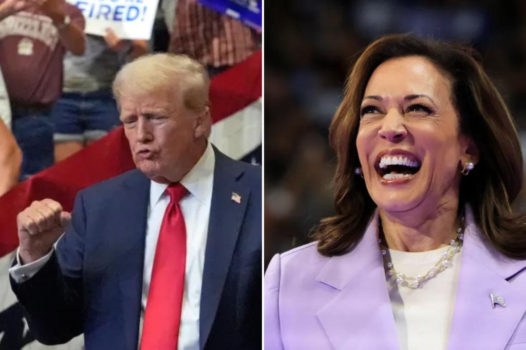 Voters think Trump will make them richer, but trust Harris on economy: poll