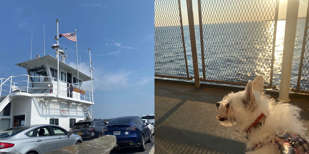 I took 2 kids and a dog on 3 separate ferries to get to our summer vacation. The 6-hour journey was so much better than driving.