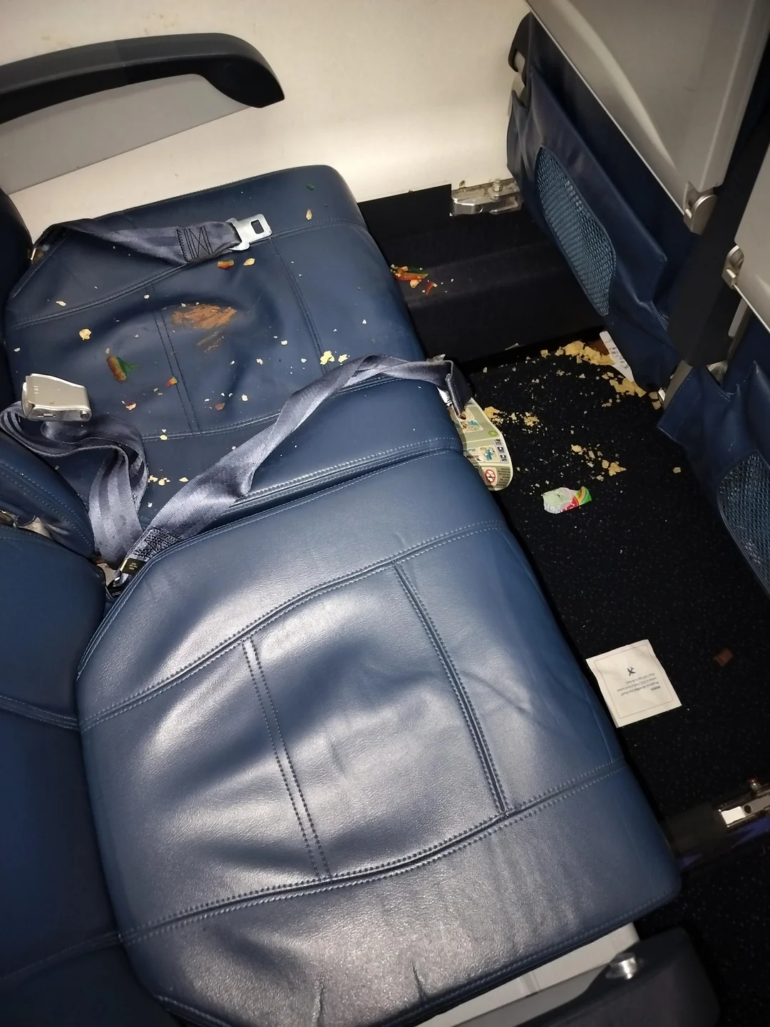 Delta Passenger’s Shocking Mess: Brown Smears and Tiny Bolivian Flags Found on Seat!