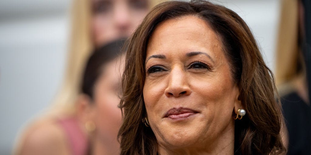 Who Kamala Harris picks for her running mate will show where her campaign sees its path to victory