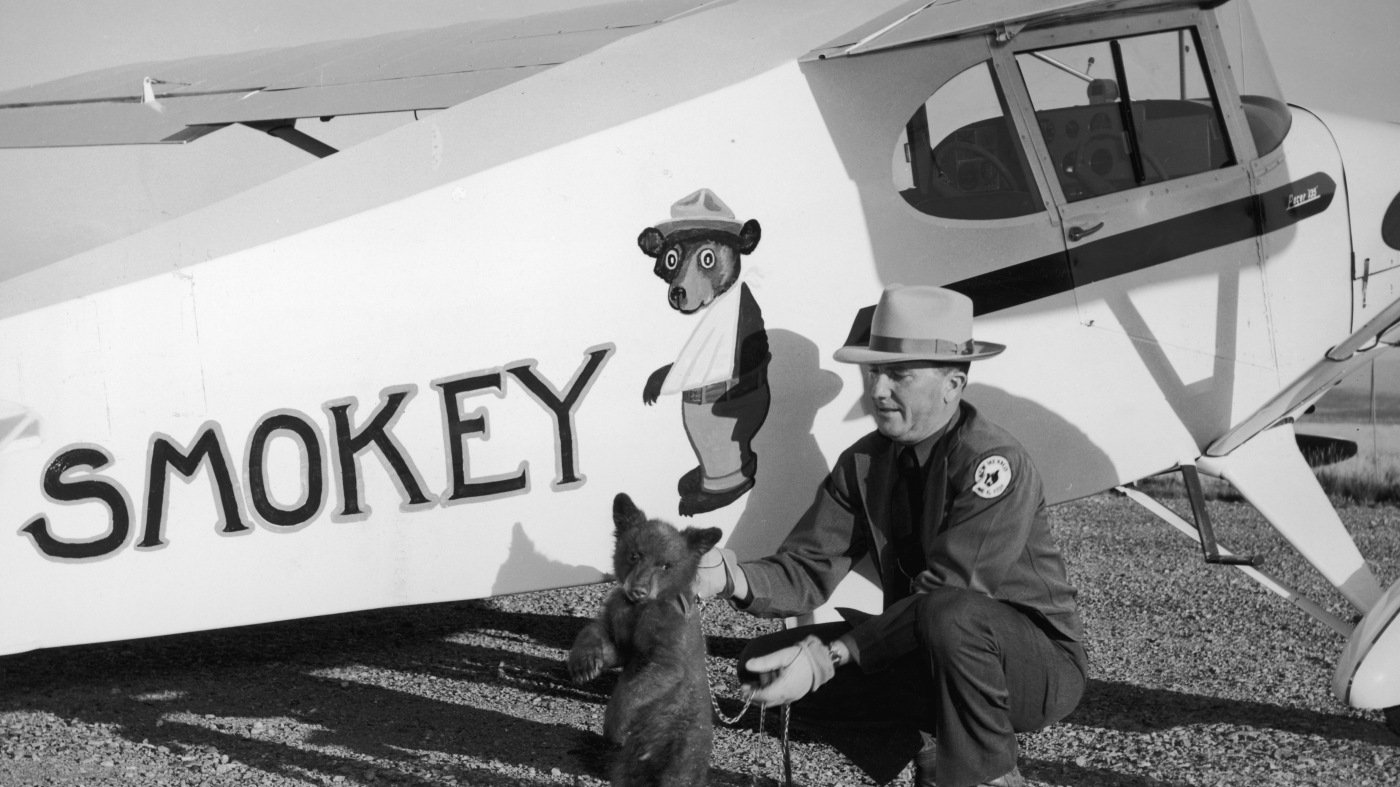 Smokey Bear turns 80 this year. Did he help prevent forest fires?