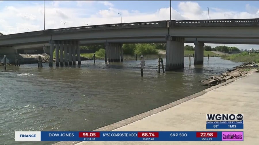 Child attacked by alligator in Bayou St. John