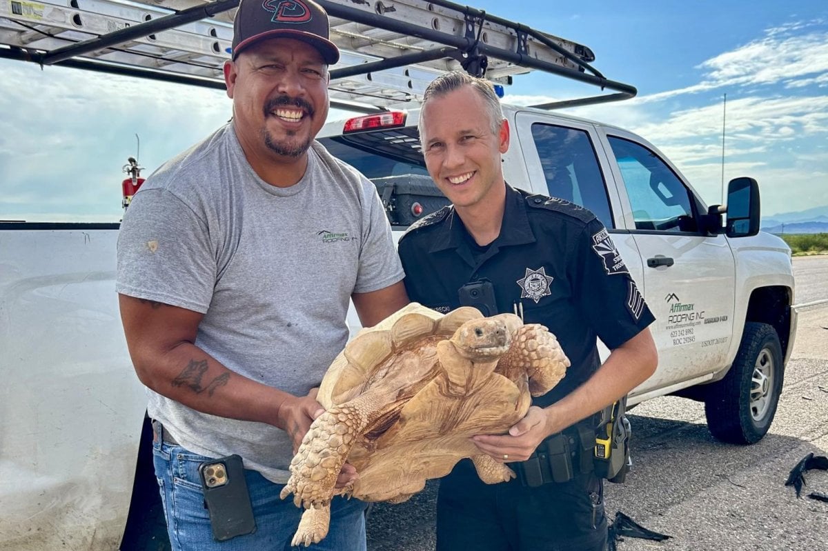 Escaped tortoise travels 3 miles to Arizona highway