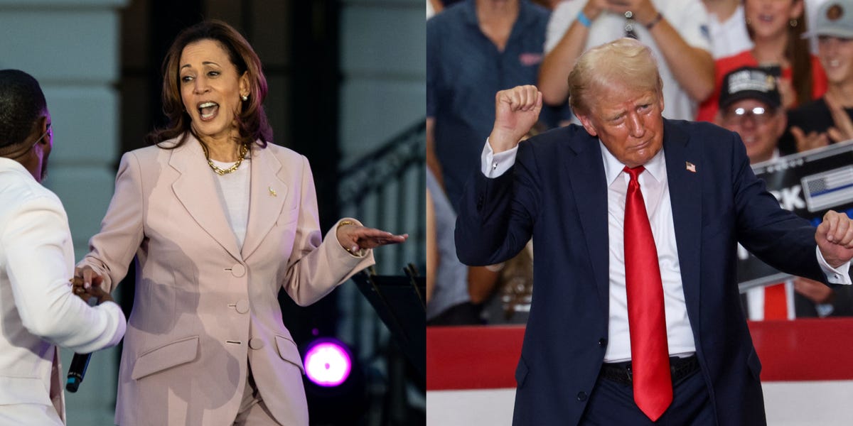 What Kamala Harris and Donald Trump's music choices say about the 2024 race