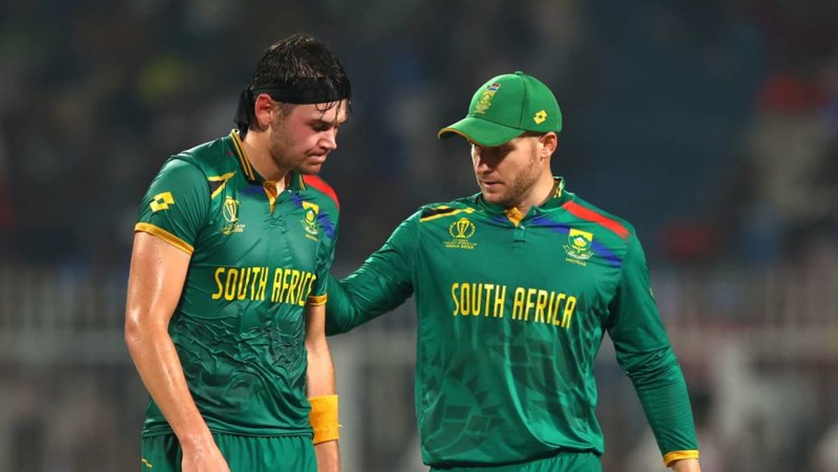 South Africa lose fast bowler Coetzee for test series in West Indies