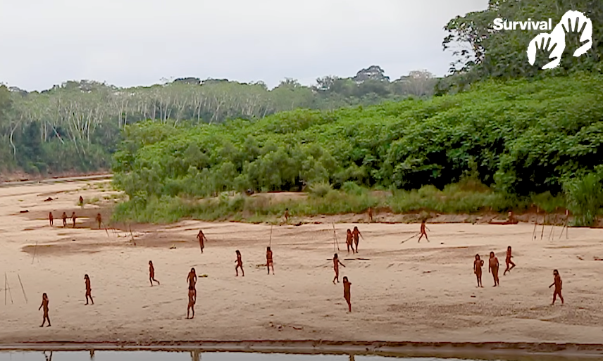 Appearance of Isolated Tribe Draws Worry in Peru