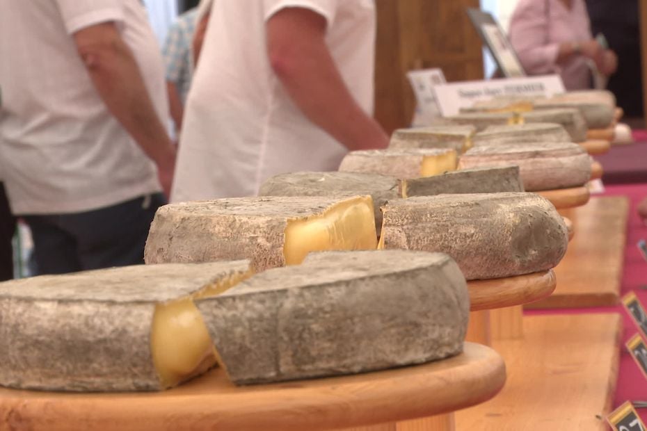 Les secrets pour choisir un saint-nectaire parfait dévoilés par "le pape du fromage"