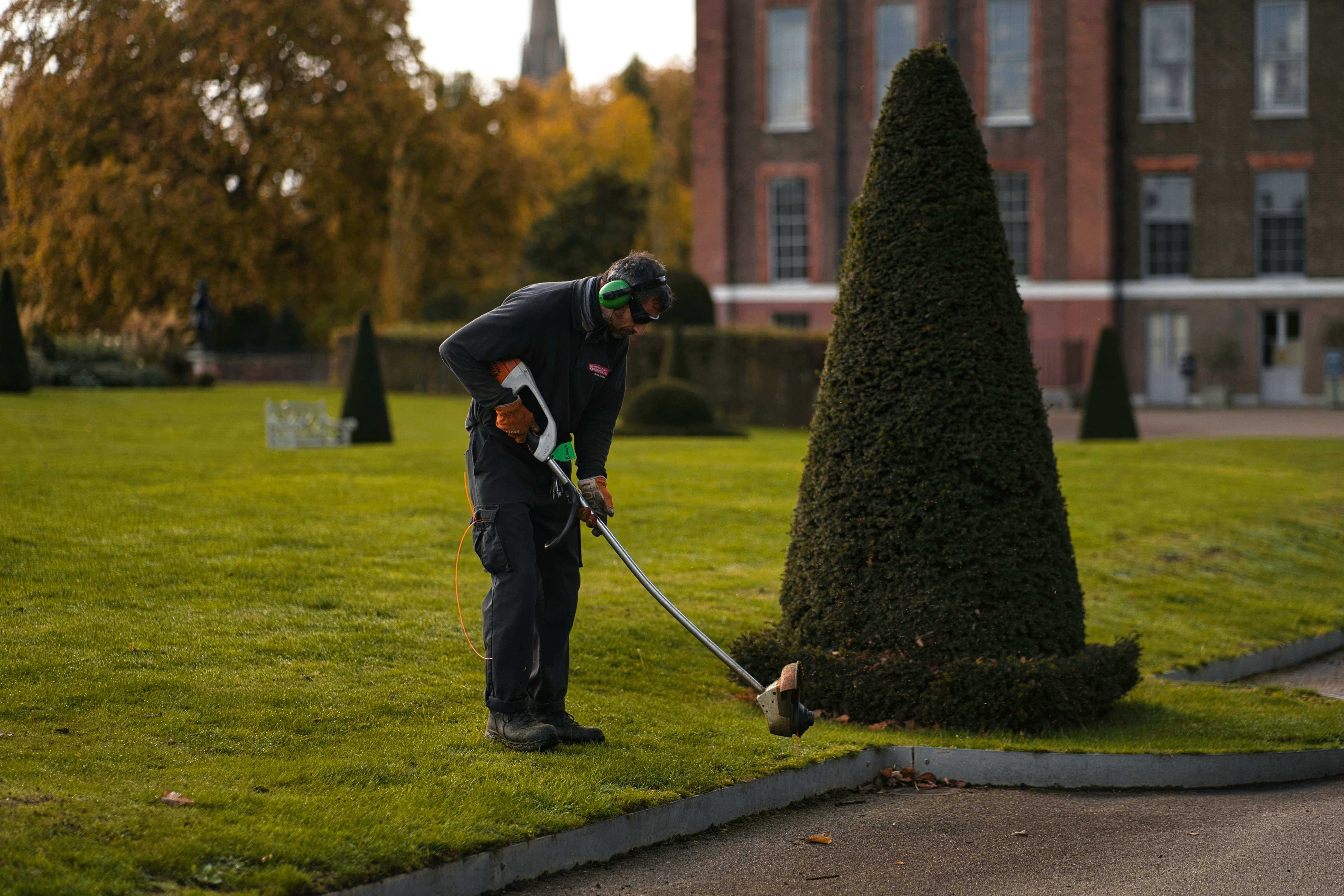 'Guess who didn't answer the numerous desperate calls?': Frustrated gardener abandons job on the day of the owner's daughter's wedding