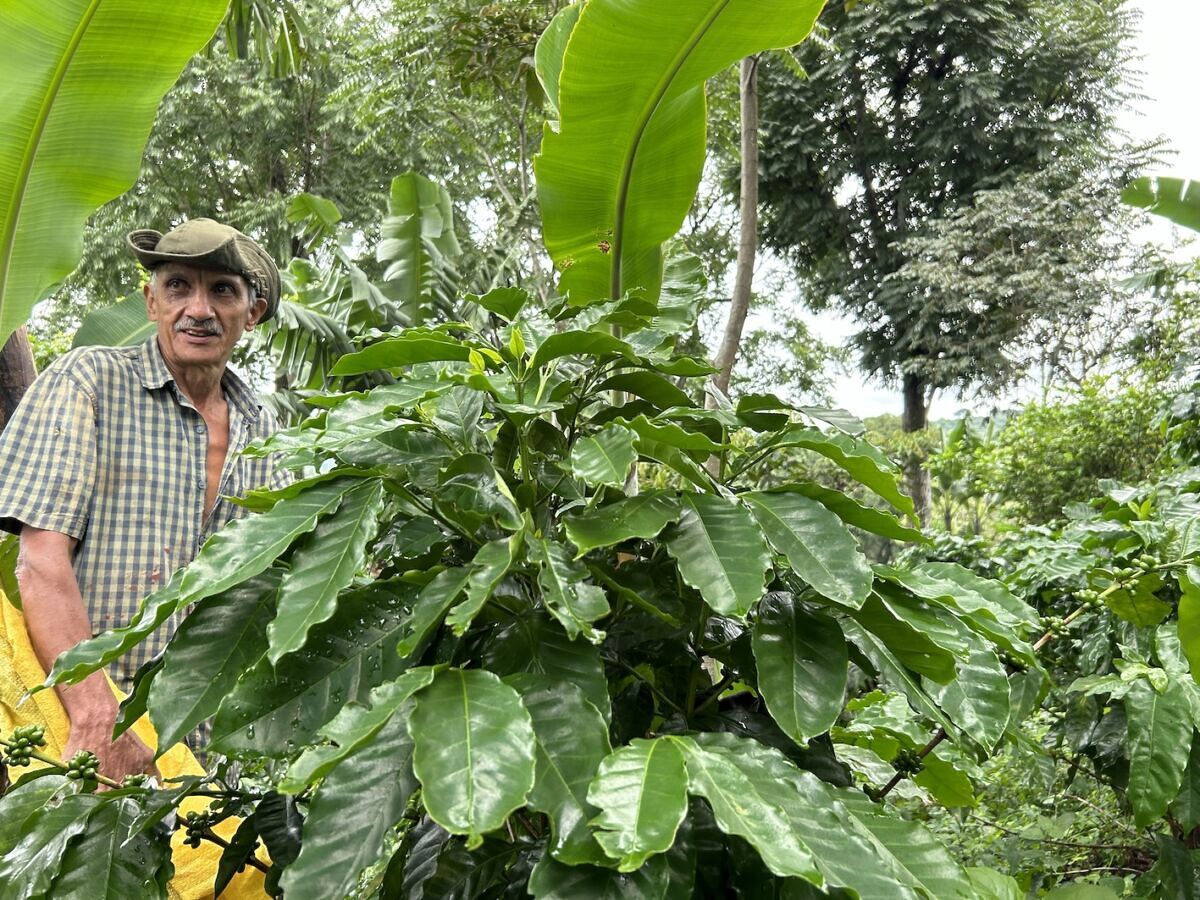 In Costa Rica’s Central Valley, Experience and Support the Heart of Traditional Coffee Culture