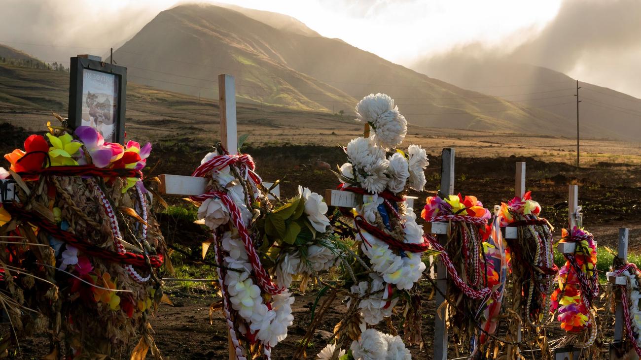 Katastrophe: Inferno im Paradies: Jahrestag der tödlichen Brände auf Maui