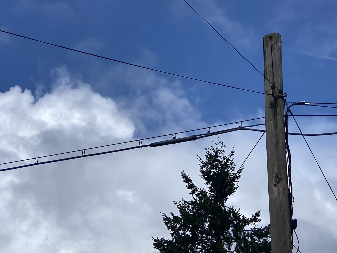 Study of urban moss raises concerns about lead levels in older Portland neighborhoods