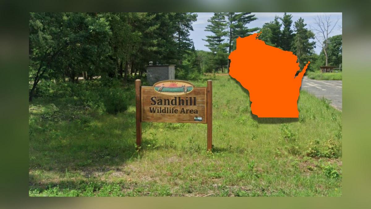 Apply Now For Sandhill Wildlife Area Deer Hunt In Wisconsin