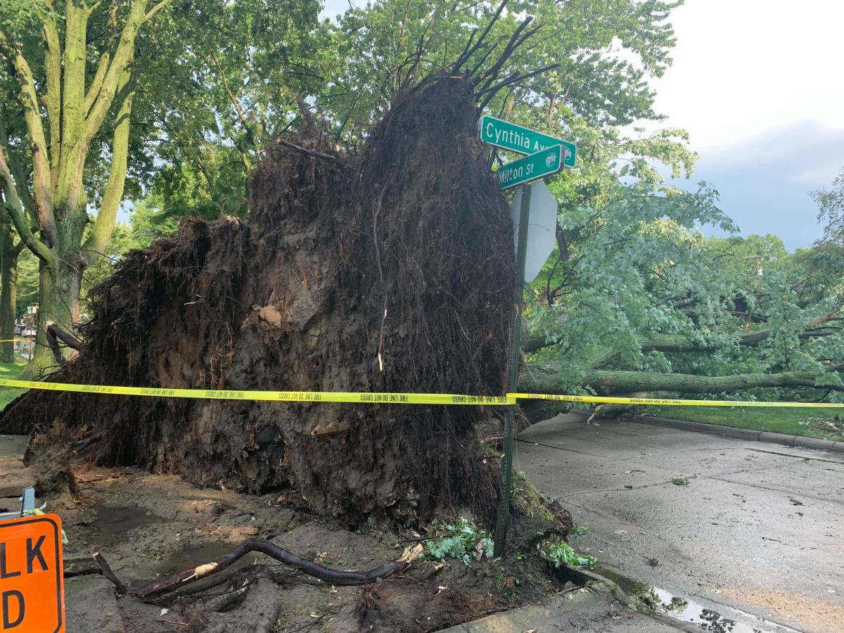 Storm hits southeast Michigan: Flooding, excessive winds and hail