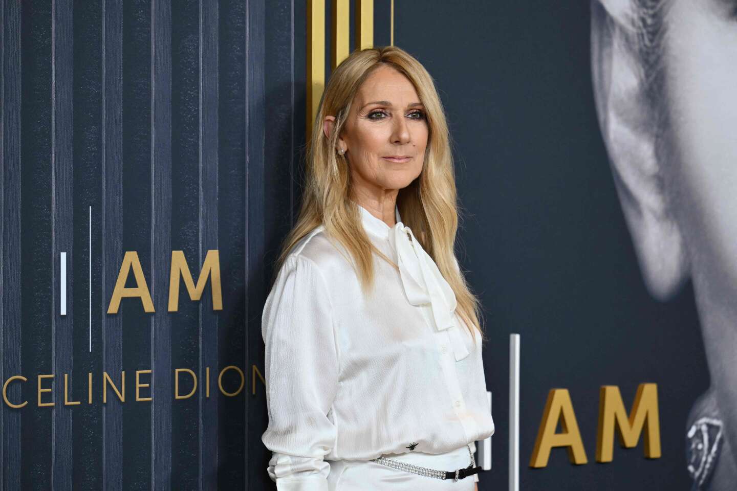 L’équipe de Céline Dion s’insurge contre l’utilisation de « My Heart Will Go On » par Donald Trump