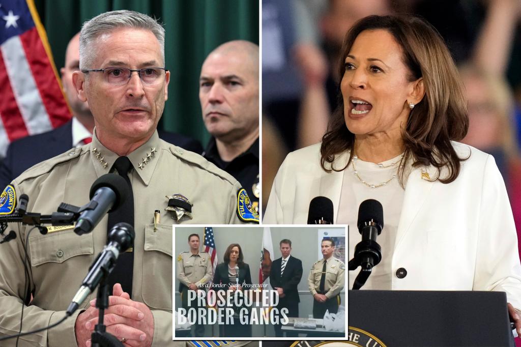 California sheriff used in Kamala campaign ad says he doesn't endorse Harris, who 'did nothing' to halt border crossings, cartels: report