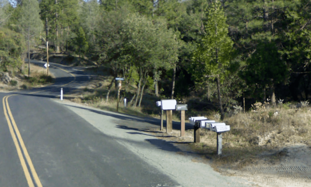 25 dogs running loose near where California walker was fatally mauled