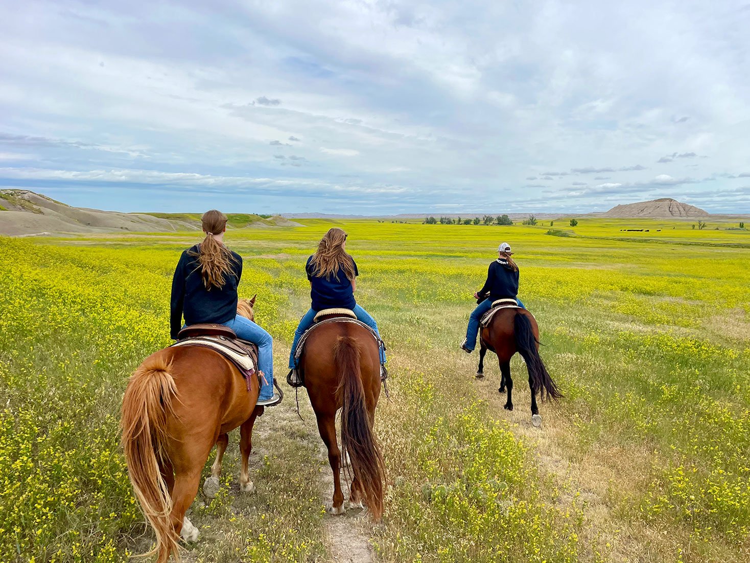 A Summer Trip To South Dakota