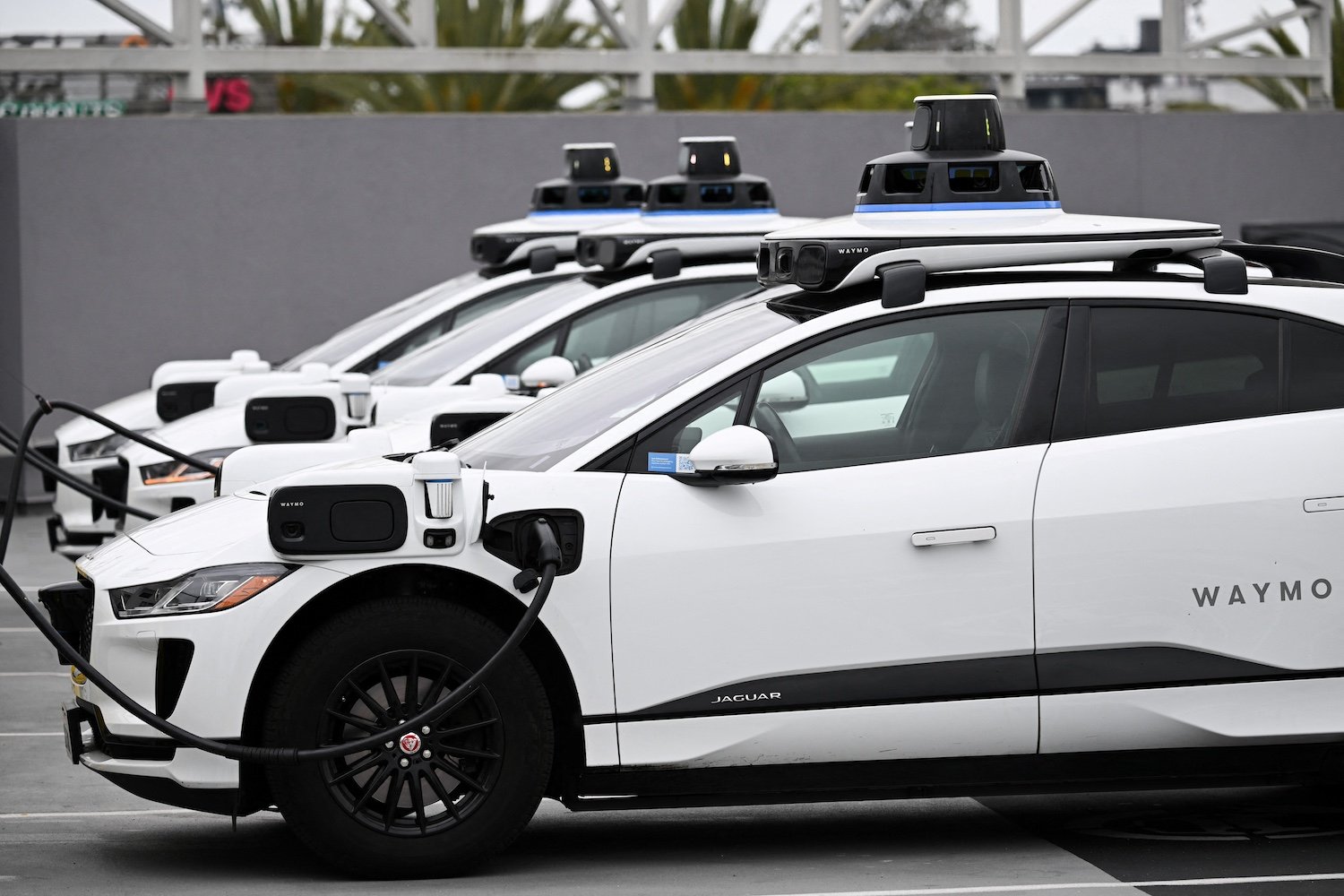 Waymo Is Unleashing Robotaxis on Bay Area Freeways This Week