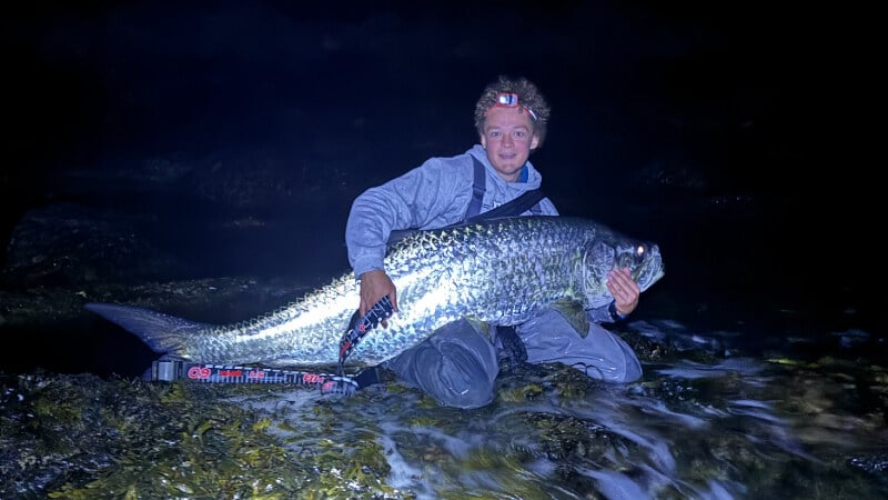 70-inch Tarpon caught off Rhode Island coast, and yes, you read that wrong [Cool]