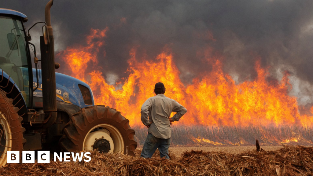 Cities on high alert as Brazil wildfires kill two