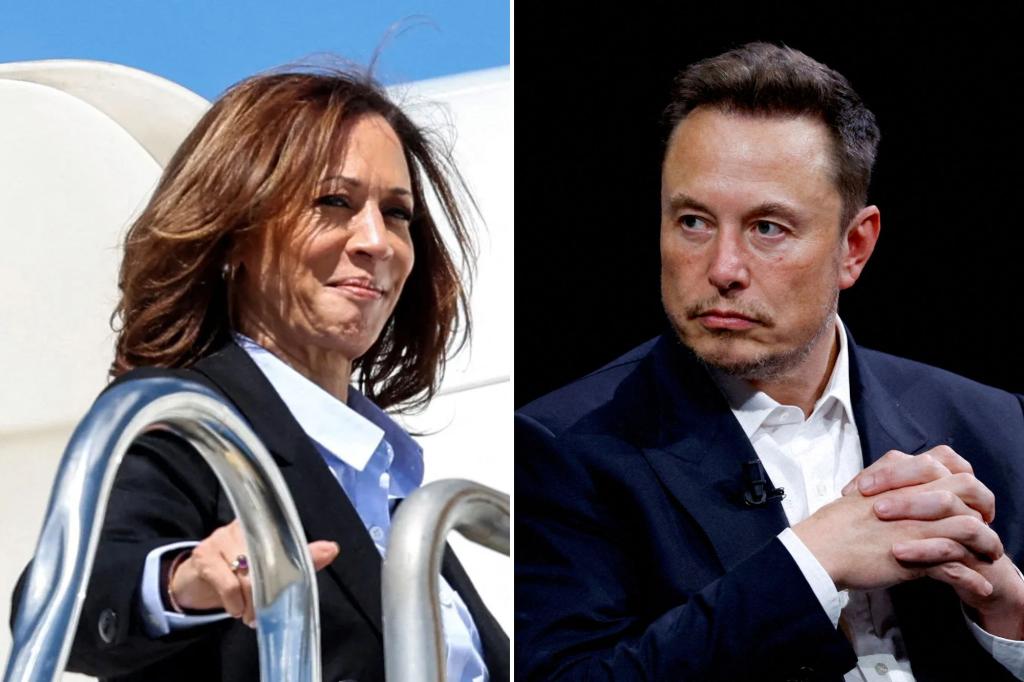 Musk's Brazil free speech fight will be ours if Harris wins