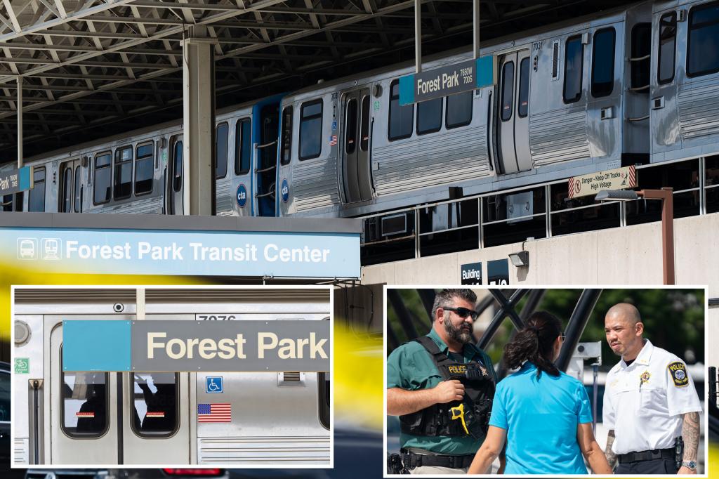 4 people shot to death on Chicago Transit Authority train: police