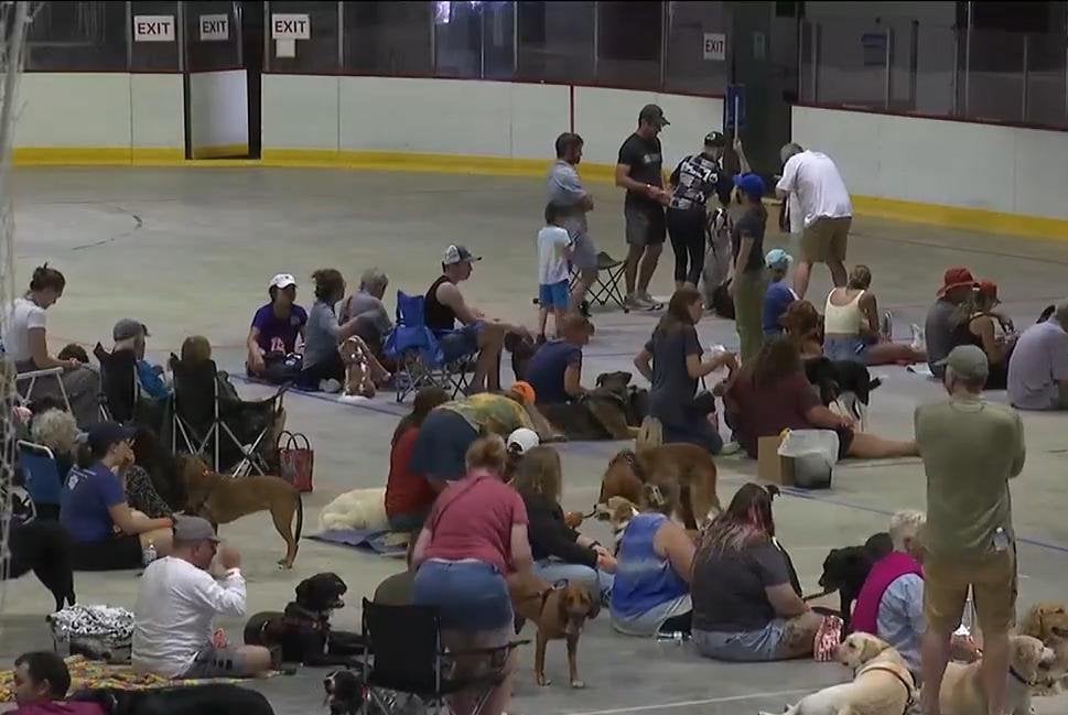 210 dogs and their owners attend movie screening in Vermont