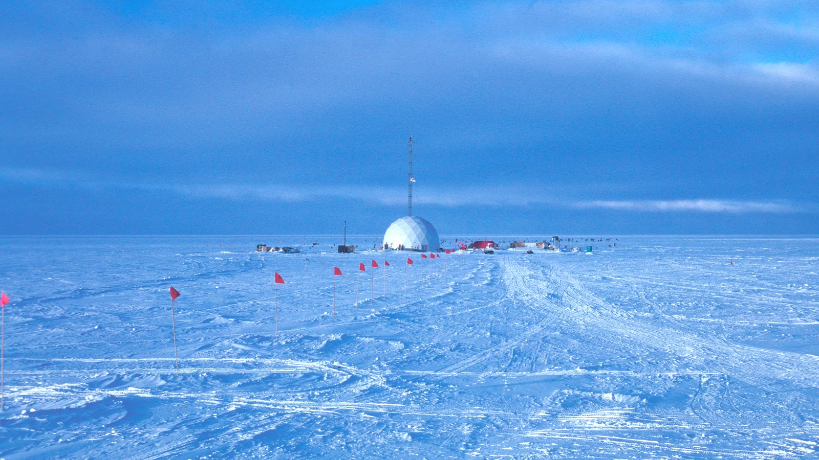 New fossils reveal an ice-free Greenland. It’s bad news for sea level rise.