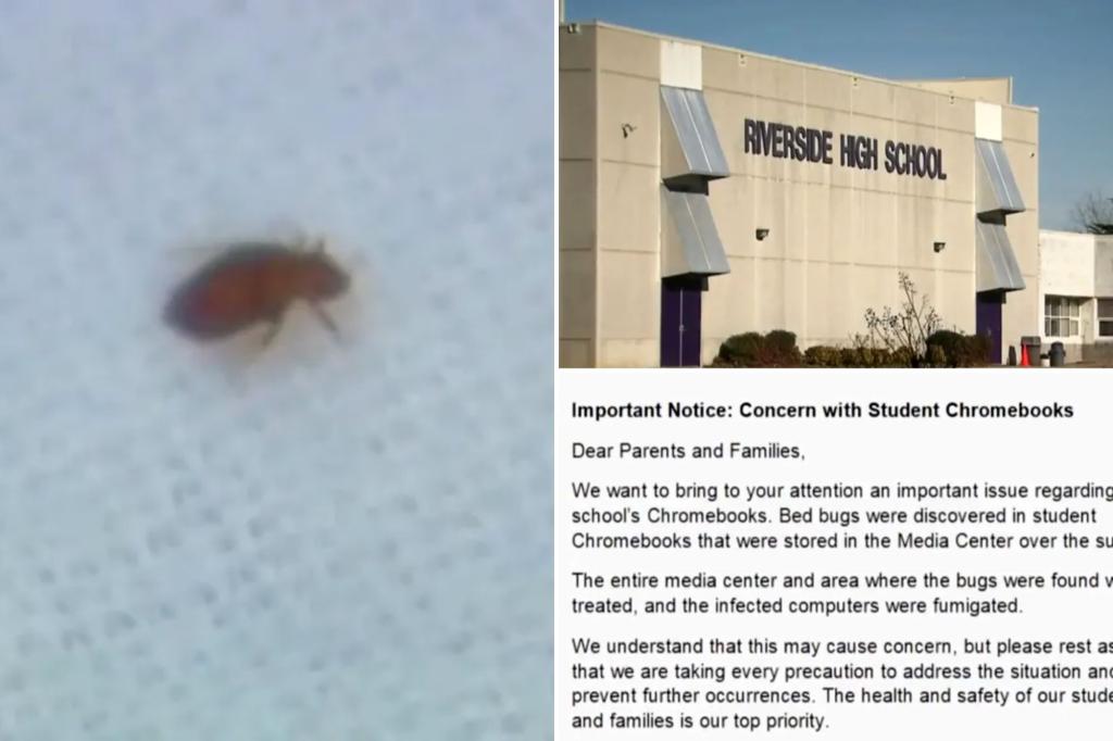 Bed bugs found in out student laptops in North Carolina school district