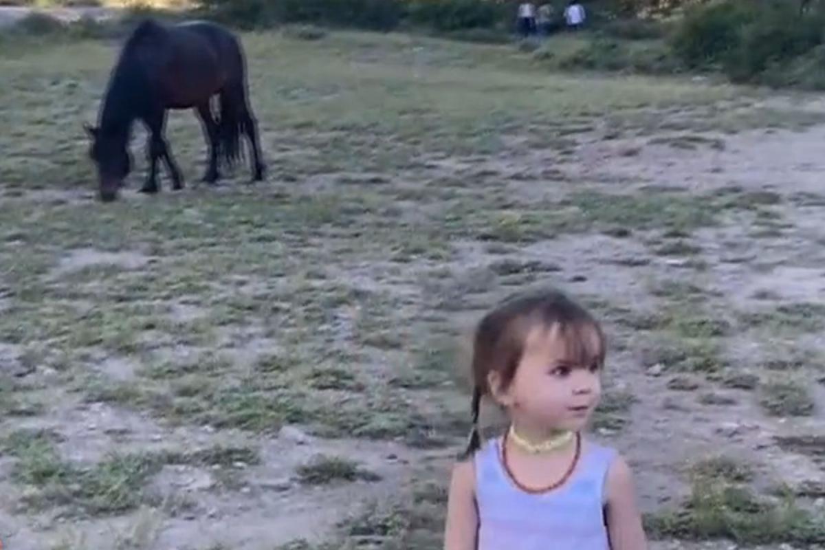 3-Year-Old Girl Kicked in Head by Wild Horse in Nevada Park, Mom 'Thought She Had Died'