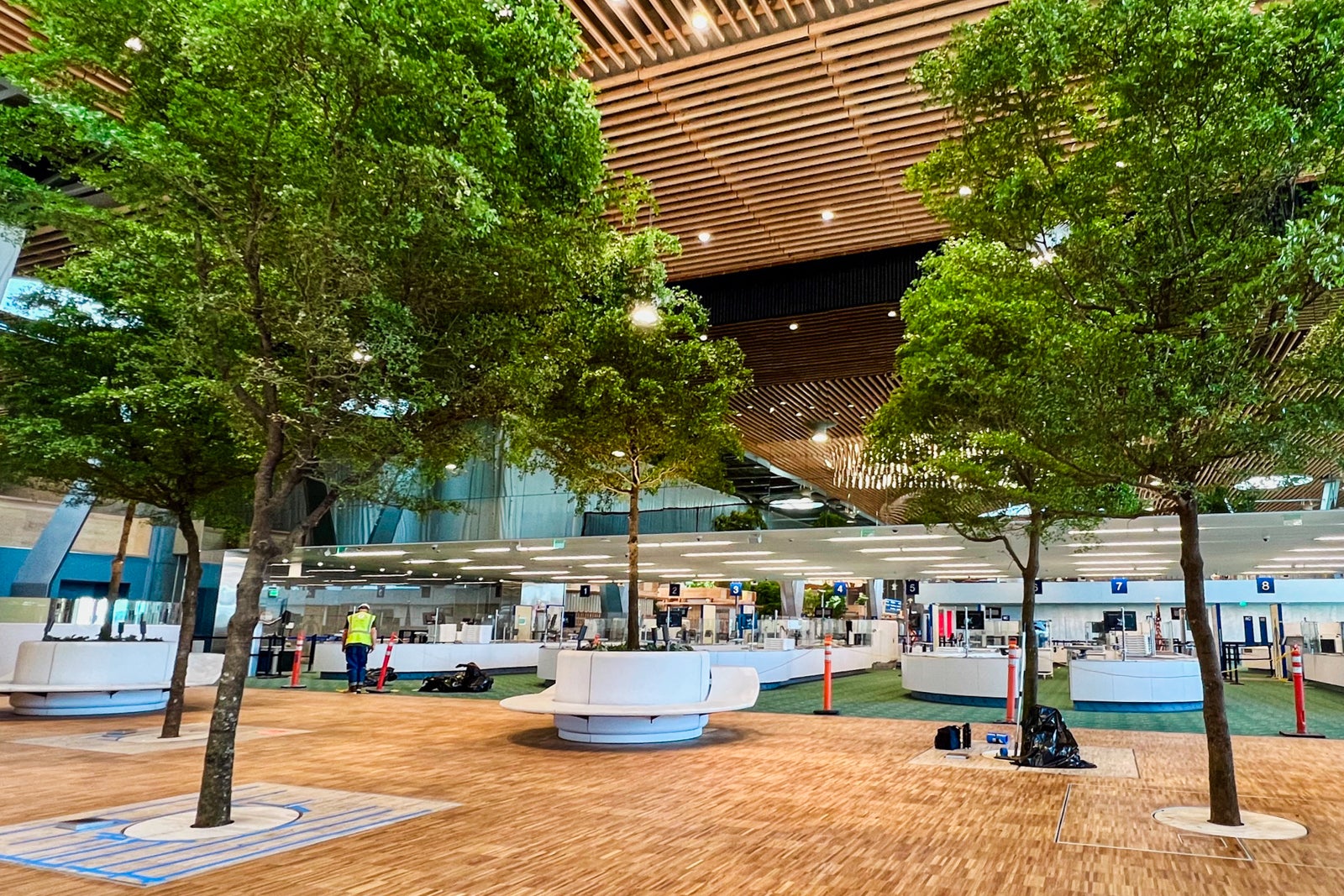 A look inside the new tree-lined main terminal at Portland International Airport