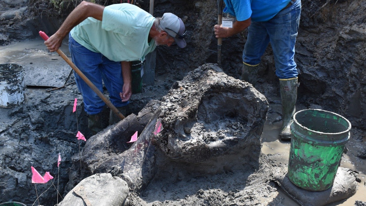 A 13,600-year-old mastodon skull is unearthed in an Iowa creek