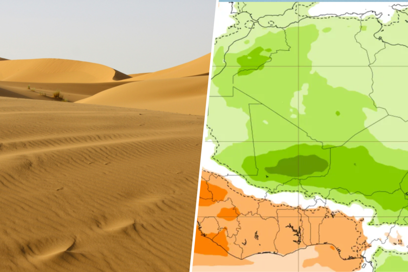 Si el tiempo en verano te parece raro, prepárate para lo que viene: va a llover en el desierto del Sáhara como no se recuerda