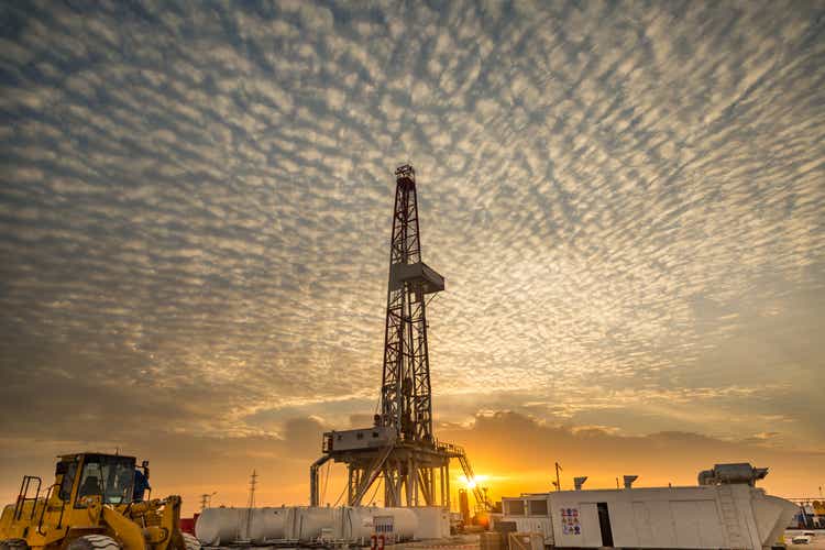 Vista Energy to pump $1.1B into Argentina's Vaca Muerta shale this year, CEO says