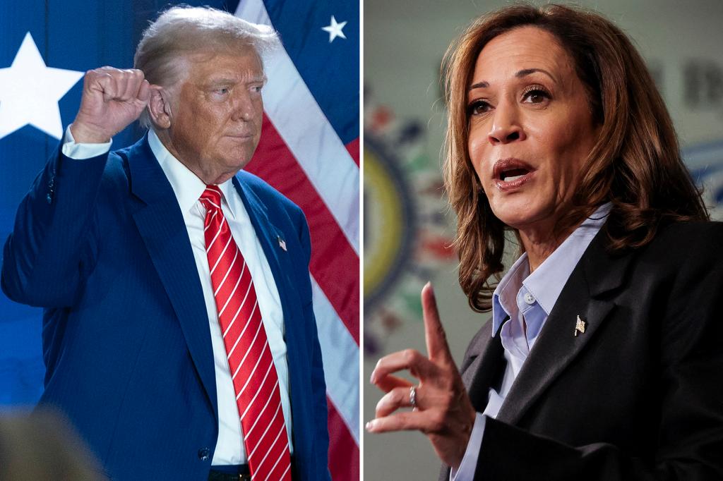 Trump gaining on Harris in Minnesota as VP dips in Midwest state: poll