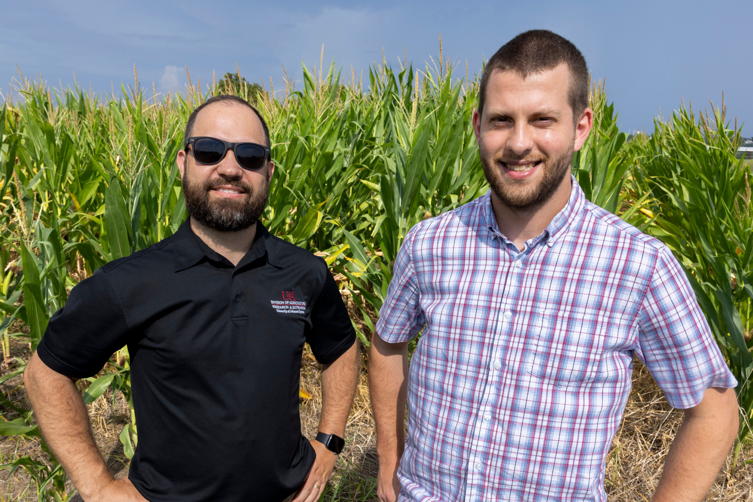 New machine learning model offers simple solution to predicting crop yield