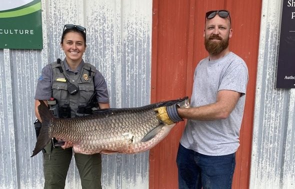 Missouri man catches state record 74-pound grass carp