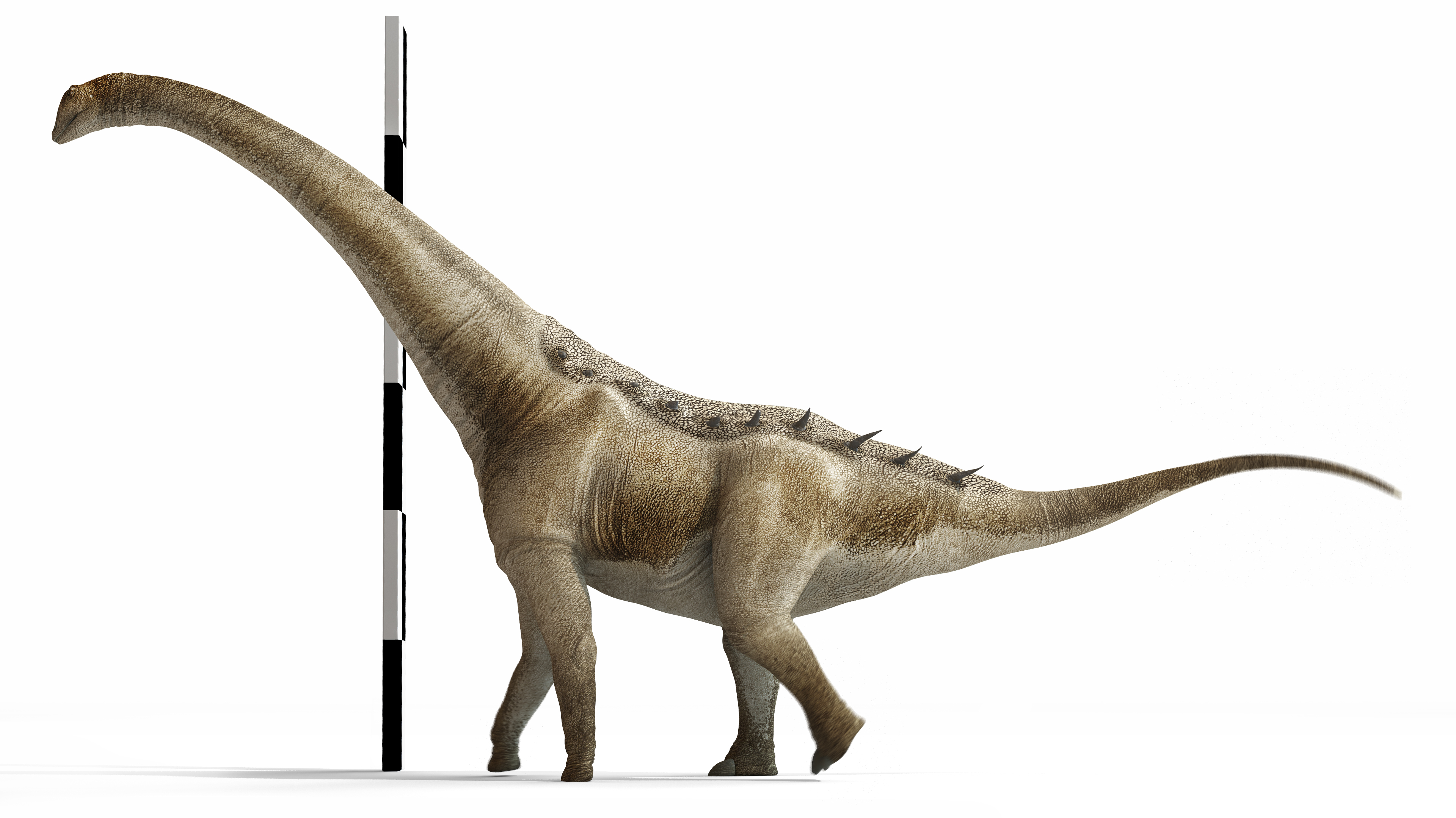 Dinosaurs: New 65-Feet-Long Species Discovered That Was Among 'Last Giants'