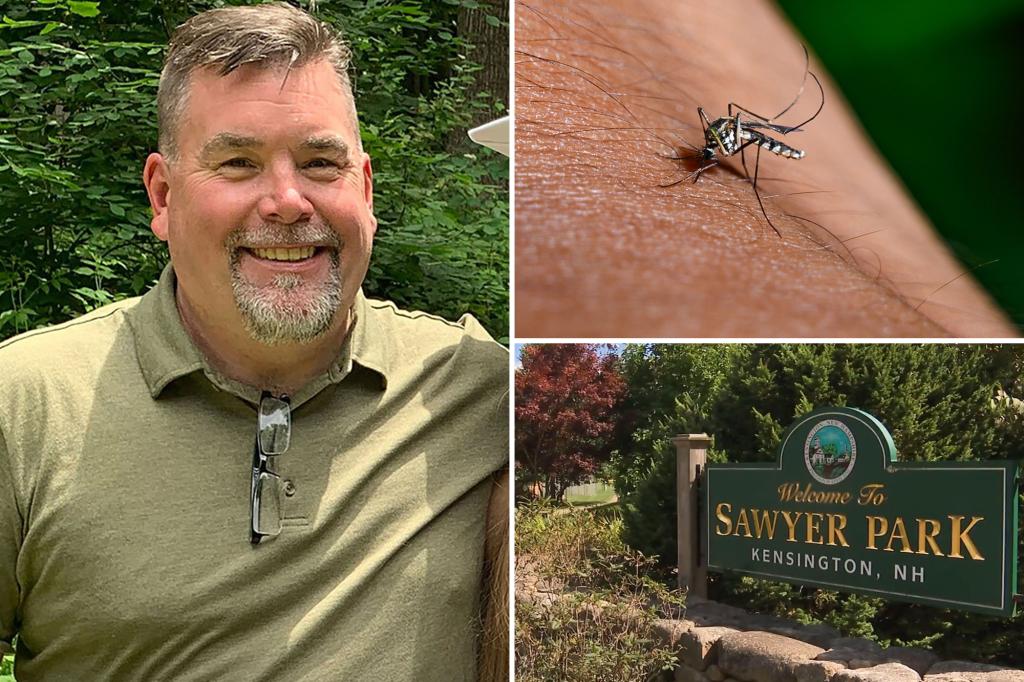 NH father fighting three viruses from one mosquito bite