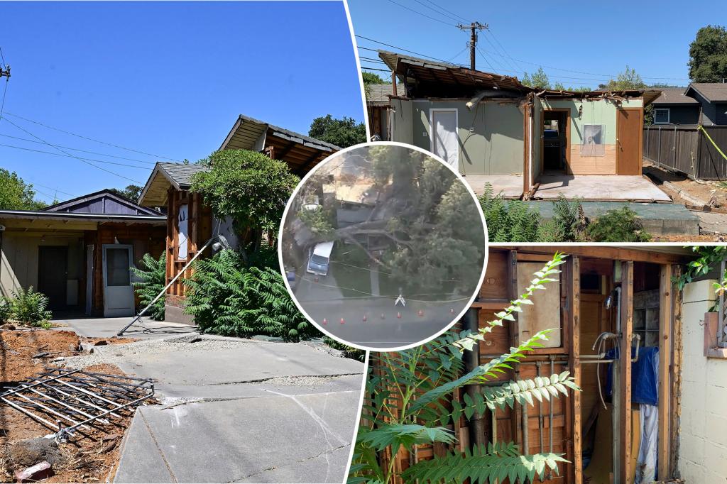 Tree-damaged California home aims to sell for $500K